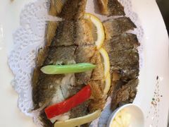 黄鱼-骏莱海鲜鱼港(五角场店)
