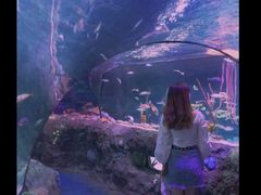 -沈阳海洋探索中心