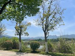 -全国青少年井冈山革命传统教育基地