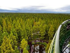 -黄海国家森林公园