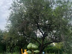 -北京西山国家森林公园