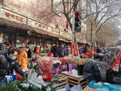 -宝鸡东道花鸟鱼虫市场(吉利花园商场店)