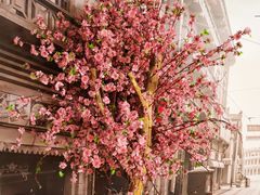 店内环境-地铁商城(北方大厦店)