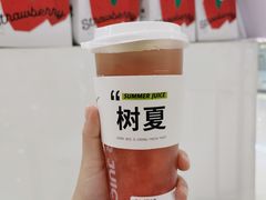 多肉西瓜-树夏(来福士店)