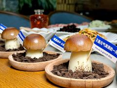-大理董·董家小厨野生菌火锅(古城旗舰店)