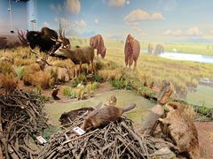 -陕西自然博物馆