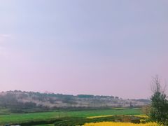 -85度C(苏州石路店)