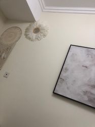 -VE专注问题肌·赛诺龙&科学美肤中心