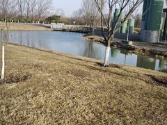 -西安浐灞国家湿地公园
