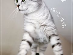-必胜客(广渠路店)