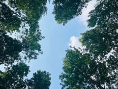 -百里山水画廊