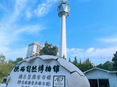 -陕西自然博物馆