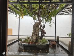 -东方艺术博物馆