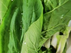 -象山村腊排骨(丽江总店)