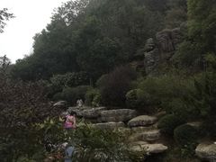 -桃花岭景区