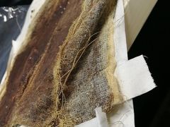 -大韩庄韩氏祖传正骨