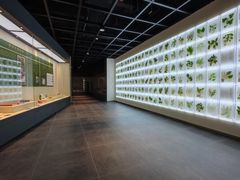 -广东中医药博物馆