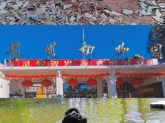 -昆明动物园