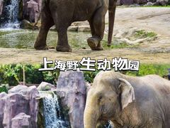 -上海野生动物园