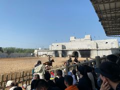 -泉城欧乐堡梦幻世界