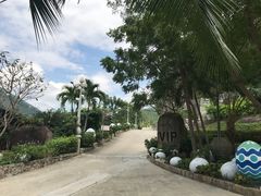 -100蛋泥浆浴