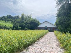 -天目湖涵田度假村