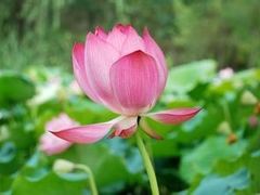 -白鹭湾湿地公园