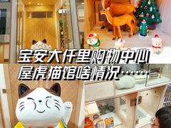 -屋虎猫馆(宝安大仟里店)