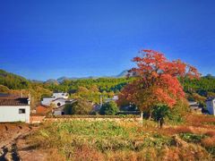 -塔川景区
