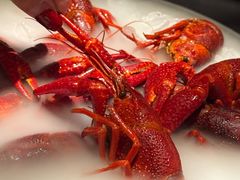 -红盔甲·小龙虾(人民广场店)