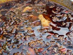 -胖子鱼·天水麻辣鱼火锅(秦州407店)