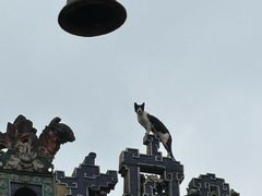 -佛山市祖庙博物馆