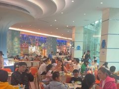 -帝企鹅自助餐厅•儿童岛•真企鹅(长隆企鹅酒店)