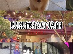 -瑞虹新天地月亮湾