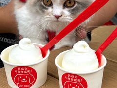 -DQ·蛋糕·冰淇淋(五角场万达店)