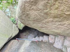 -鲁山国家森林公园