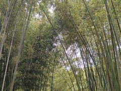 -上海市龙华烈士陵园