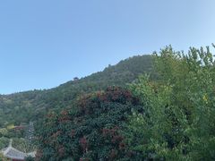 -西安华清御汤酒店