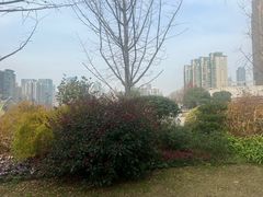 -西北湖绿化广场