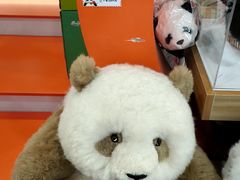 -熊猫邮局(少城店)