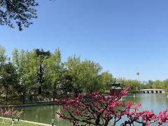 -钓鱼台国宾馆