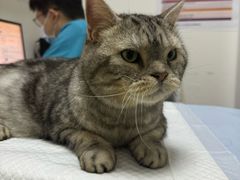-美联众合动物医院·24h转诊中心