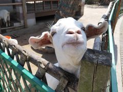 -太阳岛旅游度假区