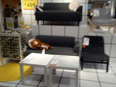 -宜家家居(哈尔滨商场店)