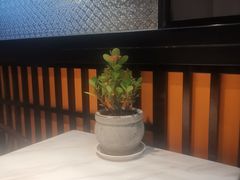 -老廣糖水铺(乐汇城店)