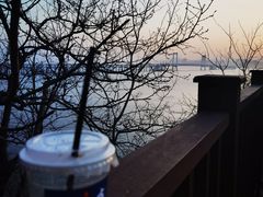 -莲花山观景台