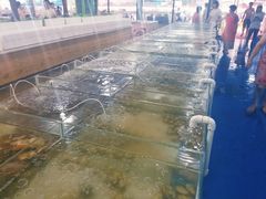 -阔澜蒸汽海鲜自助