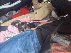 -新疆天山野生动物园