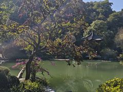 -云溪植物园