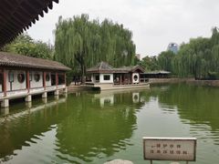-团结湖公园